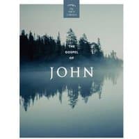 "The Gospel of John book with misty forest cover, white text, published by Andrews McMeel Publishing"
