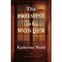 "The Promise of Wonder" book with sunset view through glass doors on cover, by Amazon Publishing.