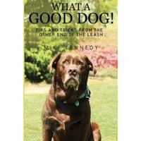 Book cover for "What a Good Dog!" featuring a brown dog sitting on grass with trees and flowers in the background.