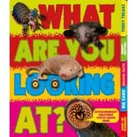 Colorful book cover titled "What Are You Looking At?" featuring various unusual animals on a bright background.