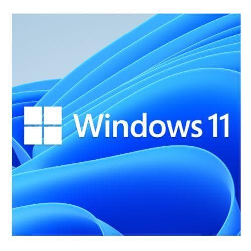 Microsoft Windows 11 Pro Edition 64-bit OEM DVD packaging featuring a blue abstract design with the Windows logo and "Windows 11" prominently displayed in white text.