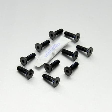 Pro-Bolt Stainless Steel Brake Disc Bolt Kit featuring ten black bolts with a smooth finish and hexagonal heads, accompanied by a small packet.