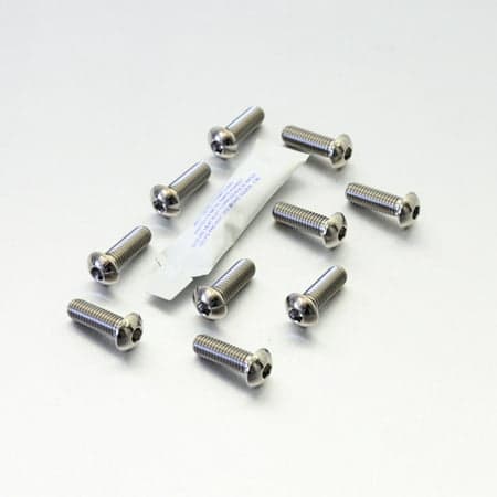 Pro-Bolt Titanium Brake Disc Bolt Kit featuring ten silver titanium bolts with a shiny finish, designed for durability and lightweight performance.