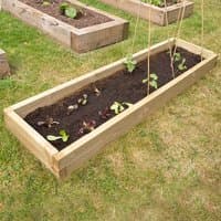 Wooden raised garden bed with soil and young plants, rectangular shape, placed on grass.