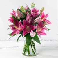 Stargazer Lily Bouquet with vibrant pink blooms, green stems, and buds in a clear glass vase.