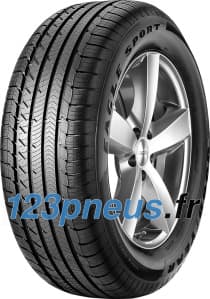 Goodyear Eagle Sport All-Season tire in size 255/45 R19 104H XL, featuring a black rubber tread with a sporty design and sidewall branding, mounted on a silver alloy wheel.