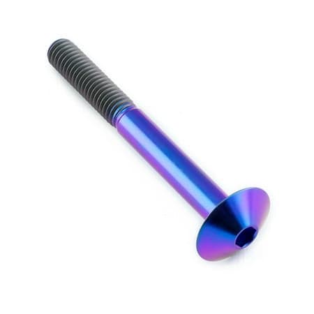 Purple titanium dome head bolt with a hex socket, measuring M6 x 1.00mm and 55mm in length, featuring a smooth, shiny finish and spiral threading.