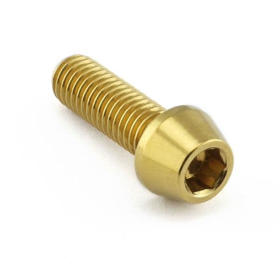 Gold stainless steel mounting bolt with a hexagonal socket head and a smooth, polished finish, designed for screen and mirror applications.