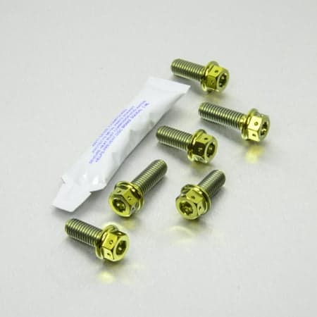 Gold titanium engine mounting bolt kit by Pro-Bolt, featuring six bolts with hexagonal heads and a packet of thread-locking adhesive.