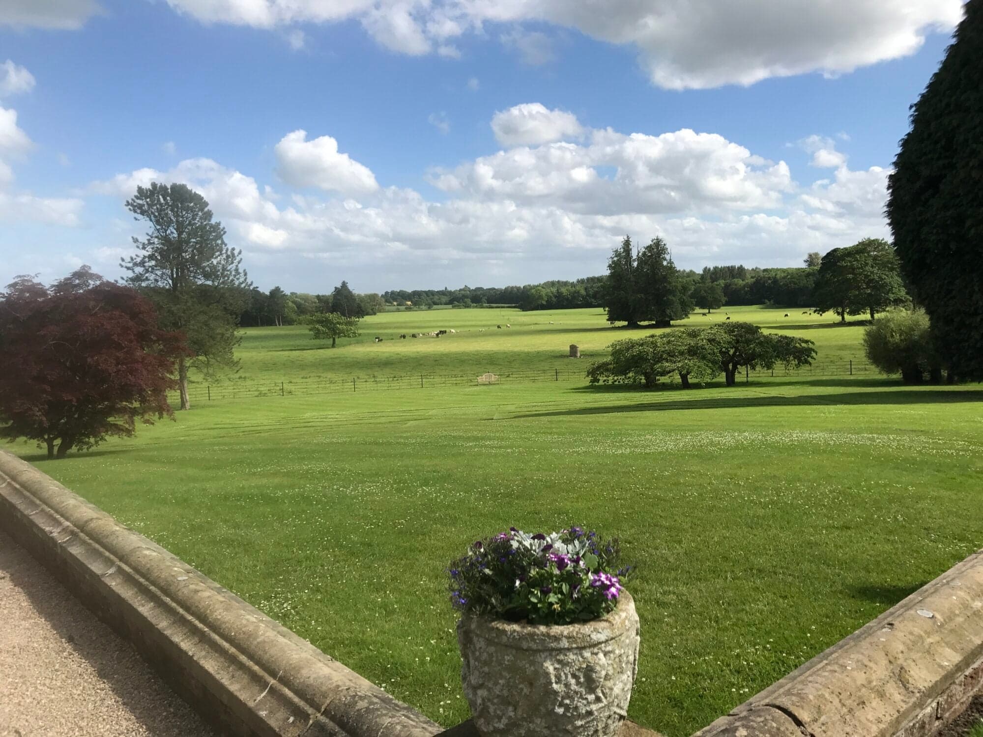 Goldsborough, Harrogate