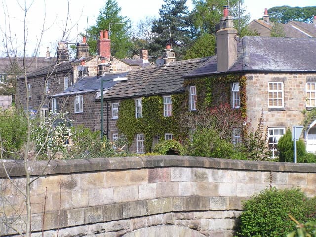 Shaw mills