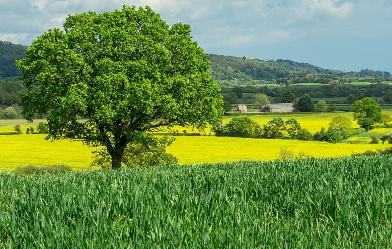 South Kilvington