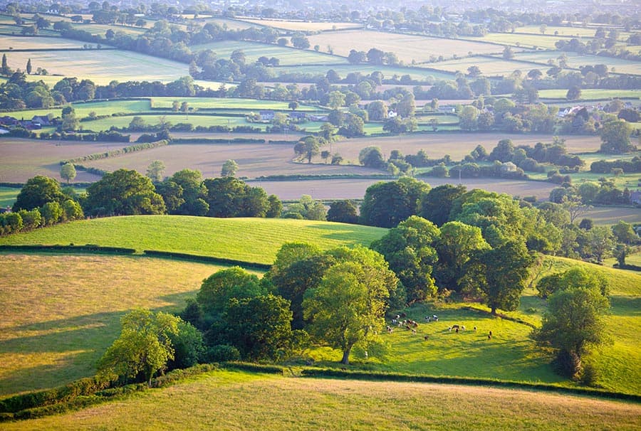Spaldington