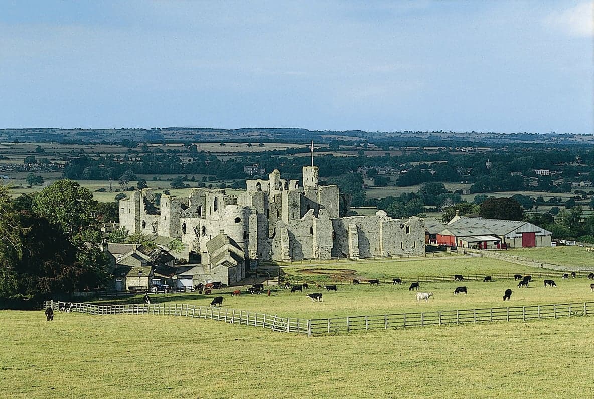 Walk: Middleham, Hullo Bridge, East Witton and Cover Banks