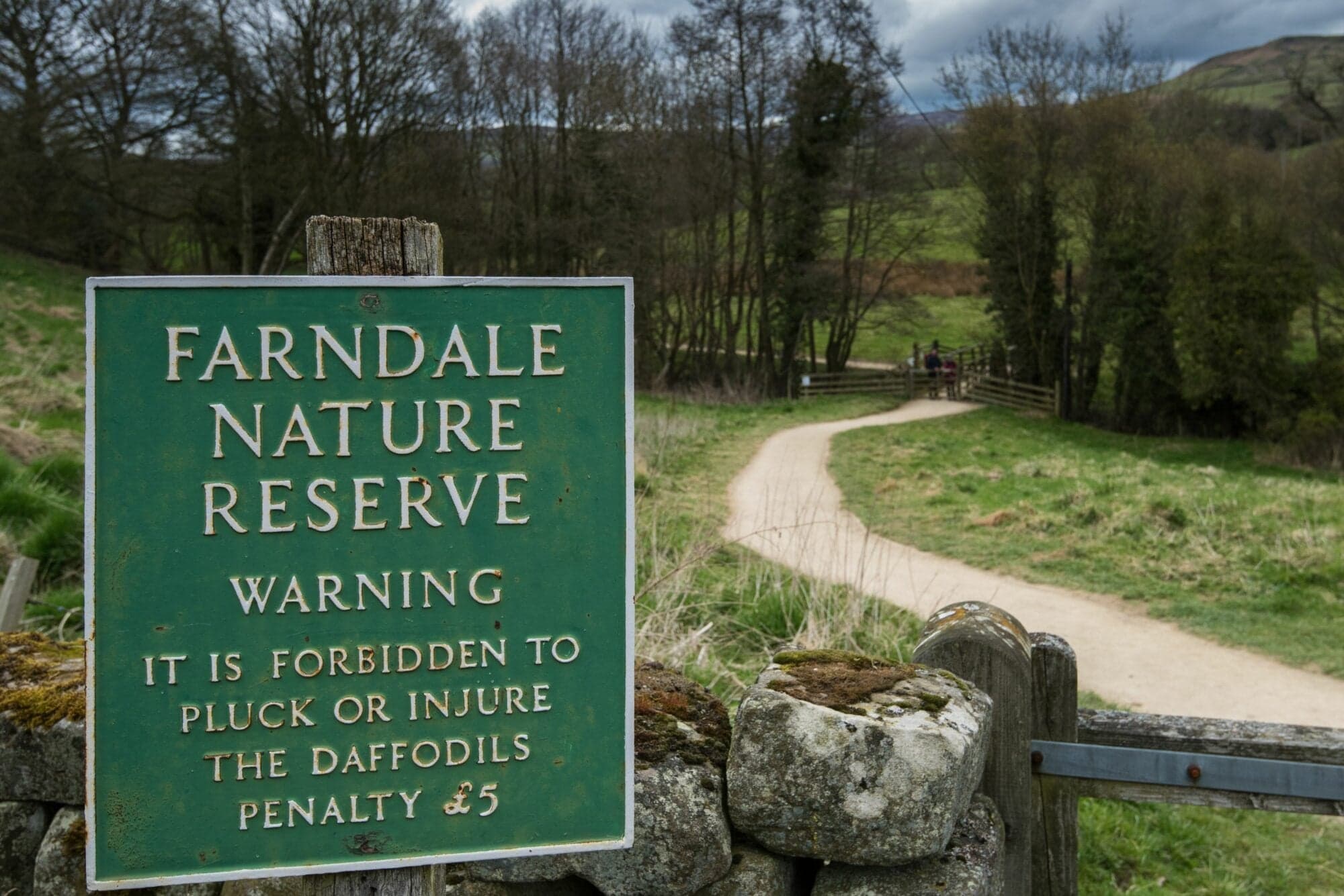 Walk: Farndale