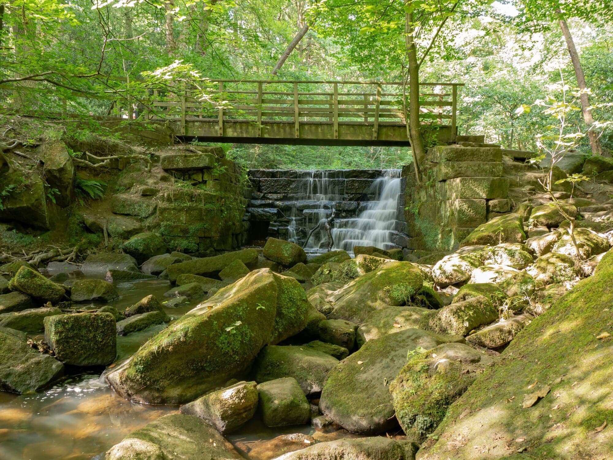 Walk: Meanwood
