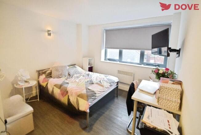 Studio to rent