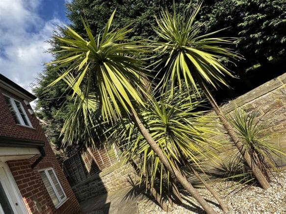 2 bed Apartment to rent in barnsley