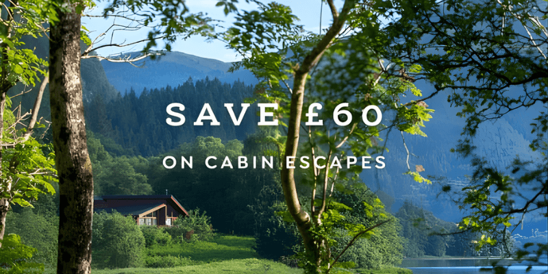 Lush green landscape with a cozy cabin nestled among trees, set against a backdrop of rolling hills and serene water.