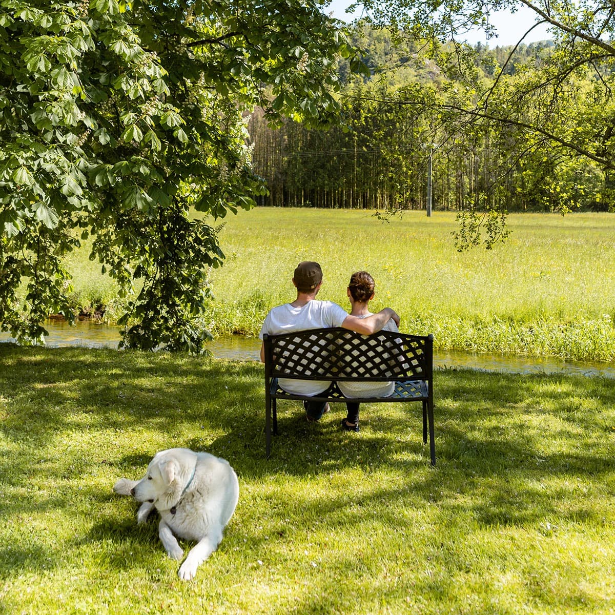 Couple sitting on a bench by a lush green field, with a dog resting nearby under a tree in a serene outdoor setting.