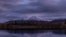 New Exhibition at Sheffield's Millennium Gallery Showcases Autistic Artists and Artists Who Have a Learning Disability