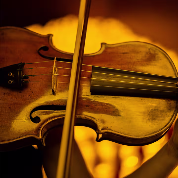 Featured image for article