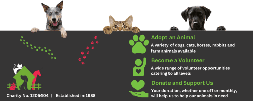 How to Answer the Call: Could You Help Us Spread the Word for Thornberry?