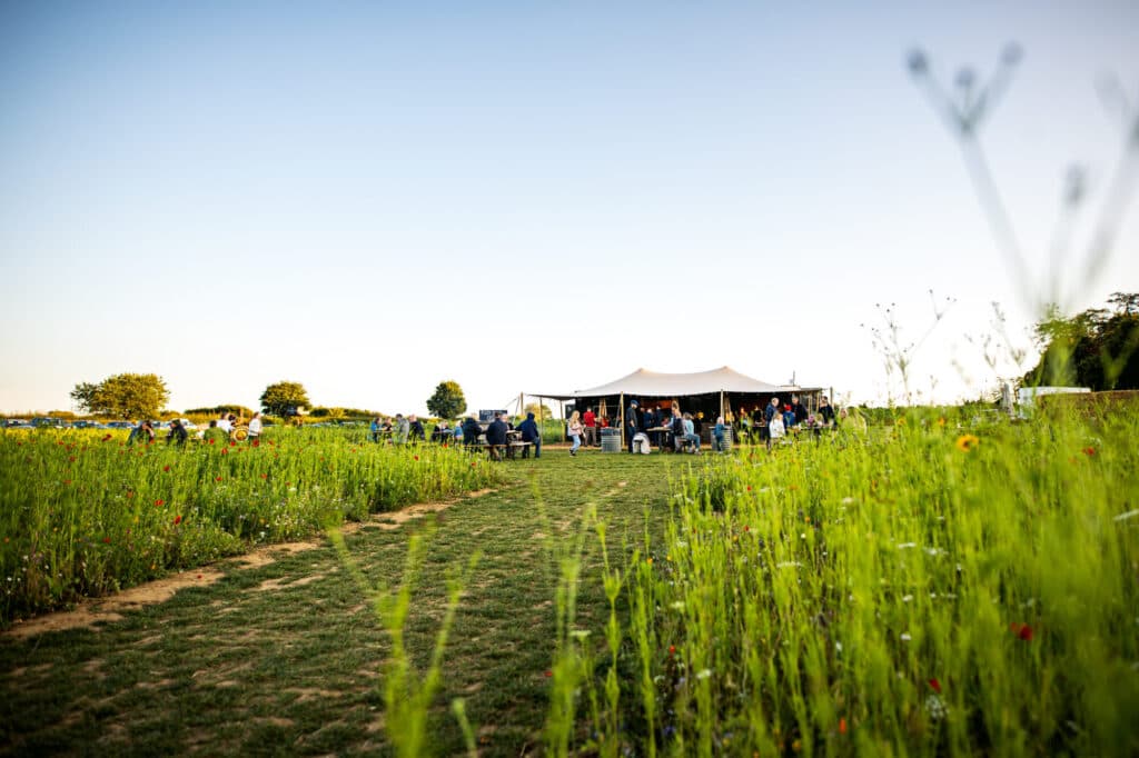 Group of people enjoying outdoor event in a grassy field