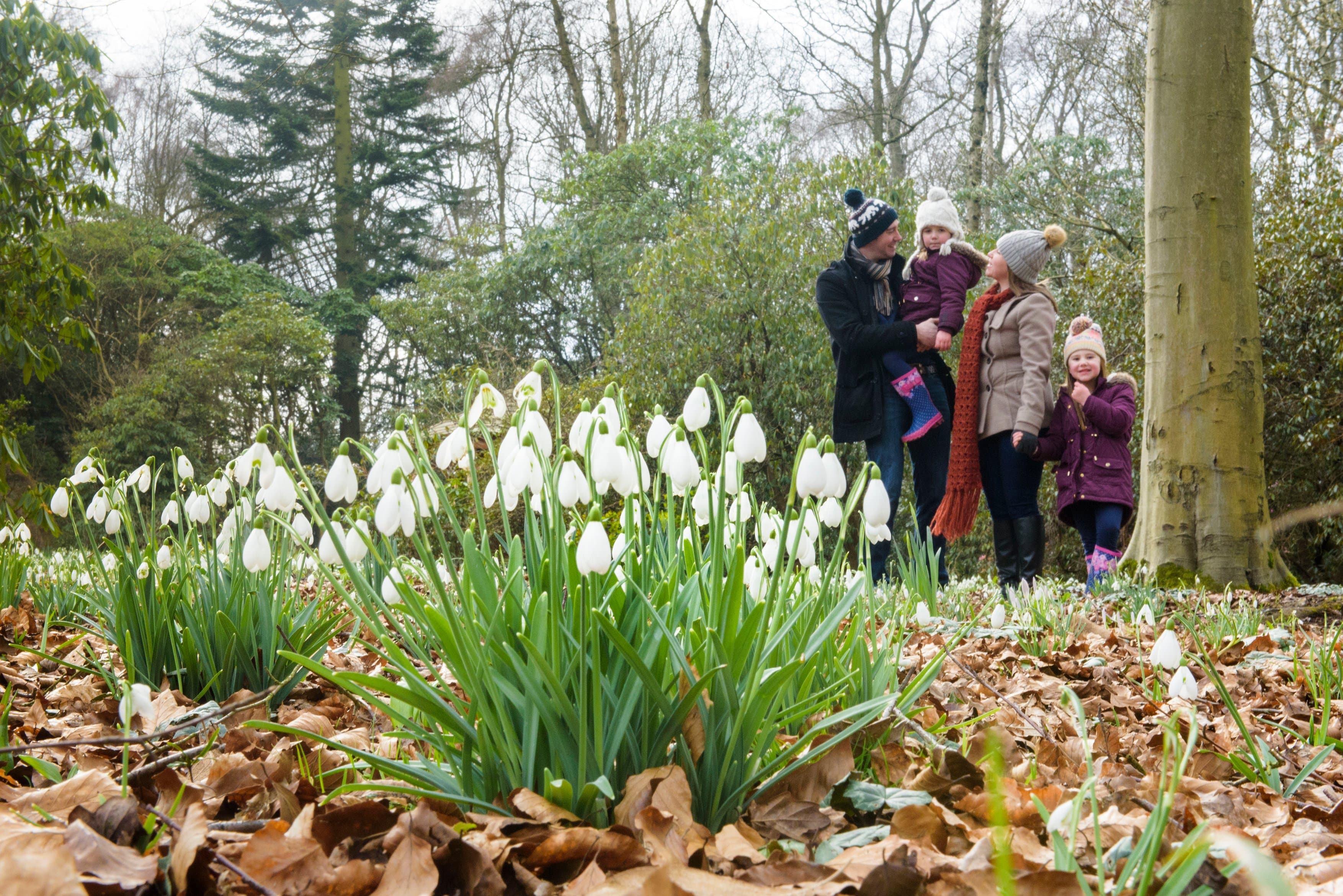 Featured image for article