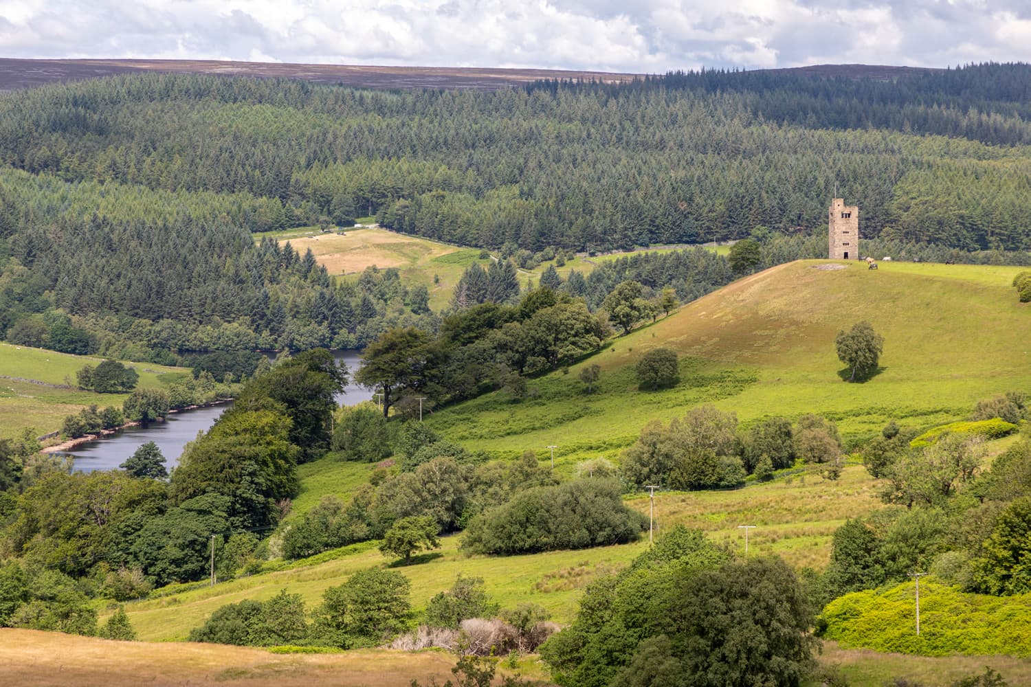 Walk: Dale Dike Reservoir