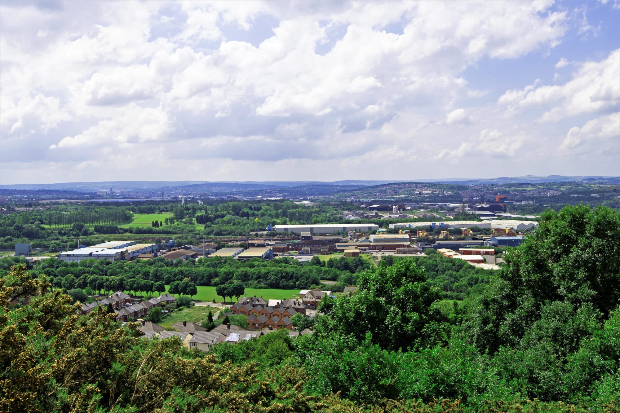 Walk: Canklow Woods Heritage Trail