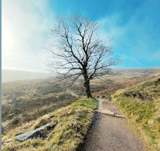 International Women's Day: Walk in the Brontë's Footsteps