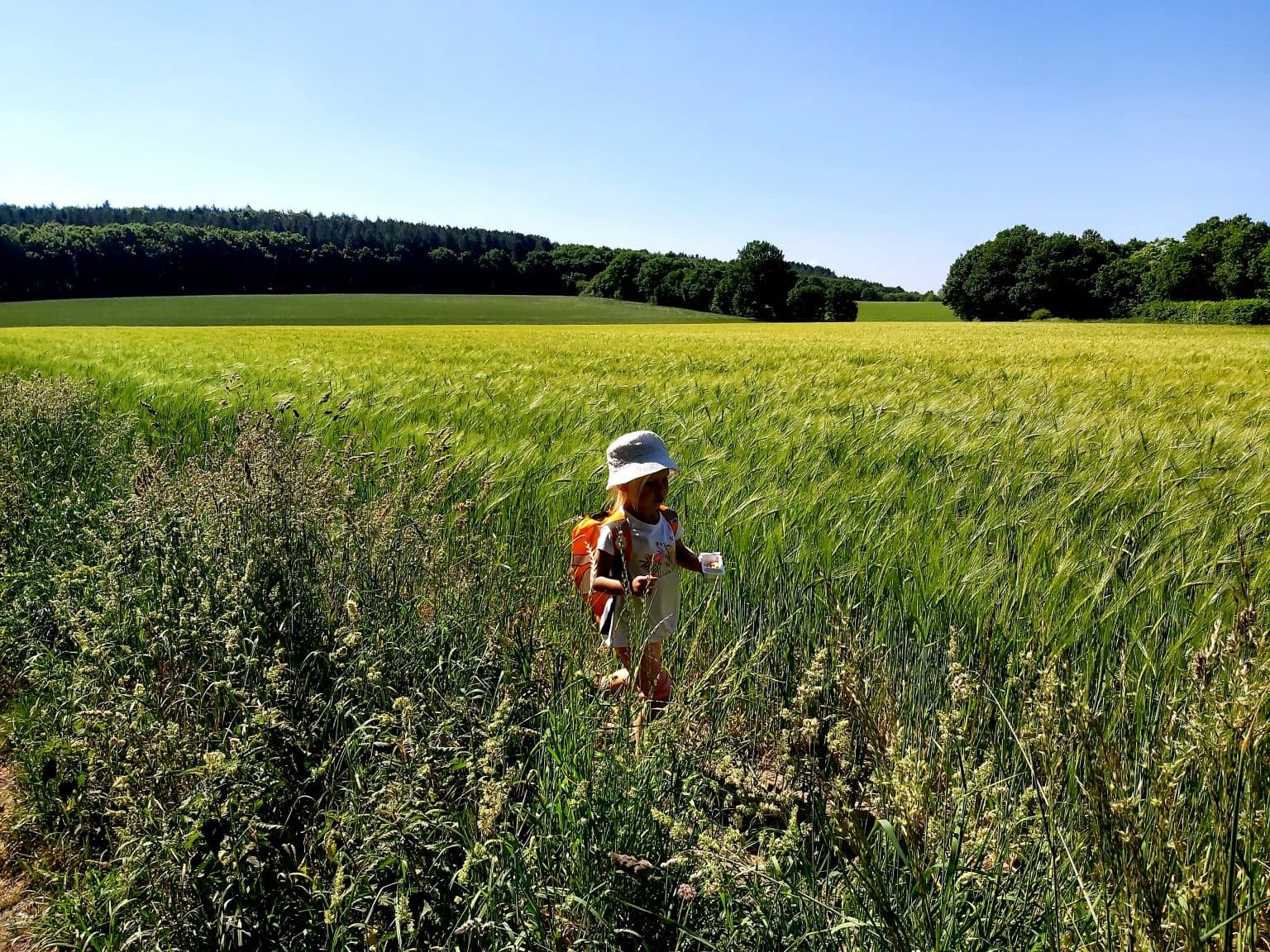 Haw Park Wood with Children