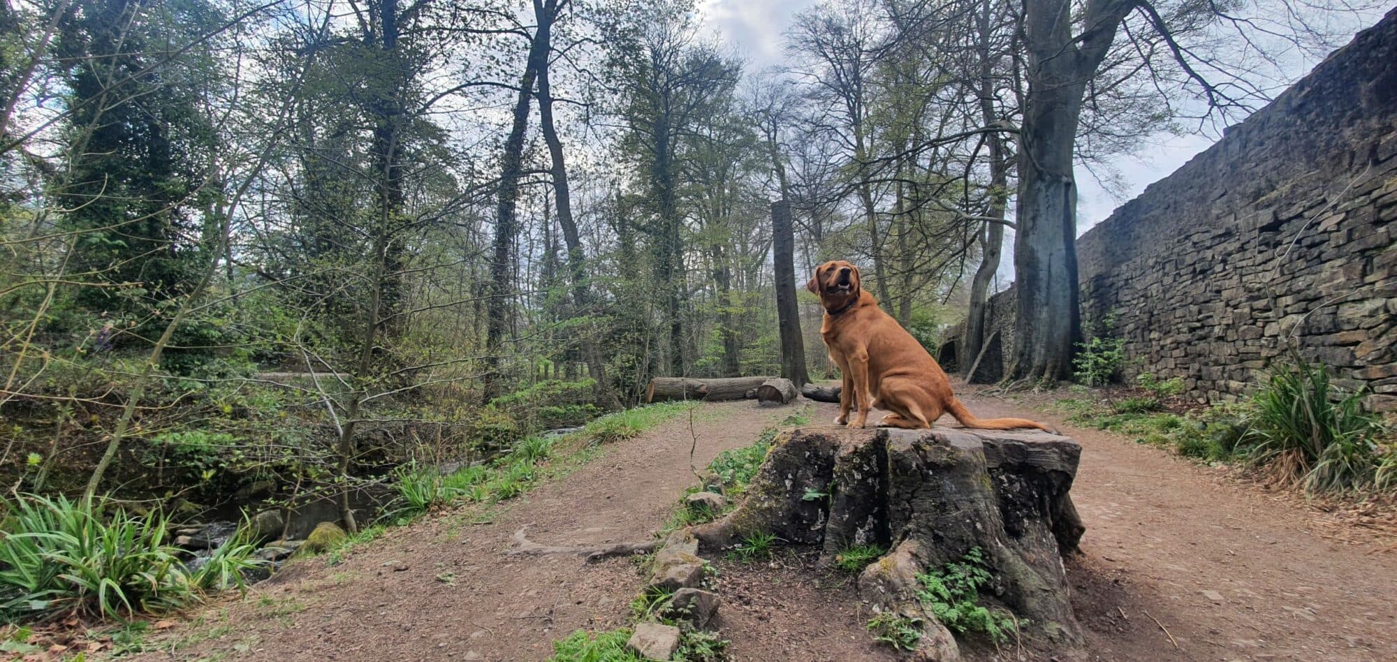 Endcliffe Park to Porter Clough