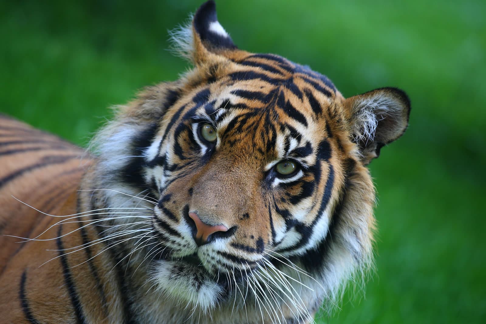 Animal Farms and Wildlife Parks