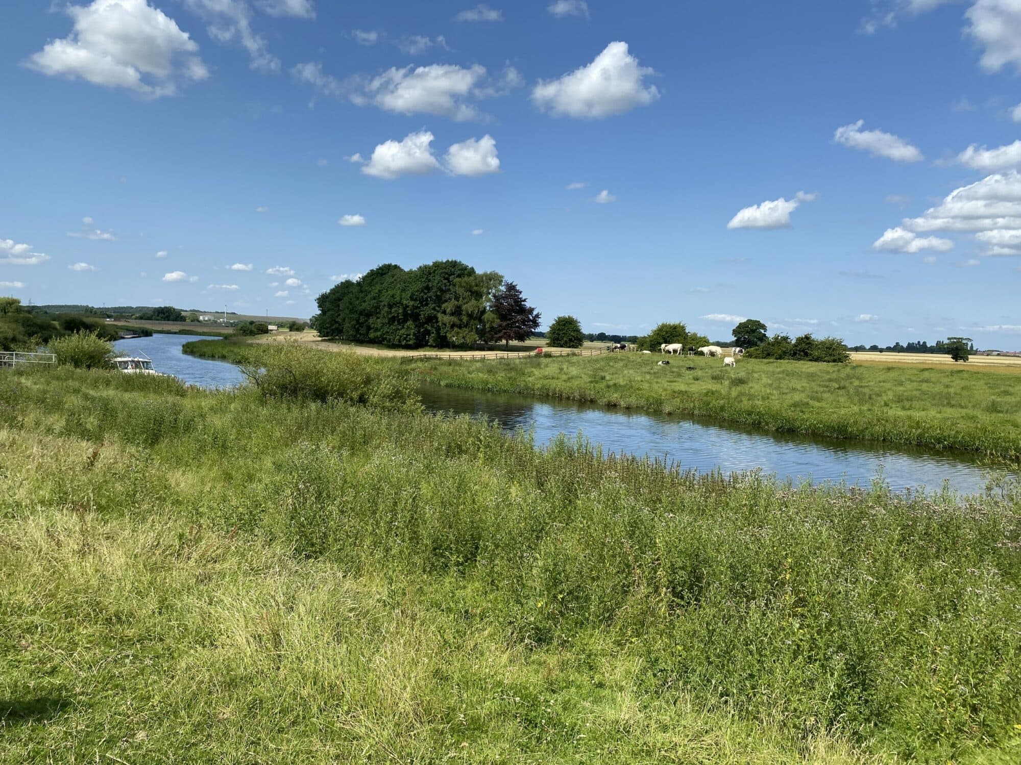 Riverside beauty at Barmby on the Marsh