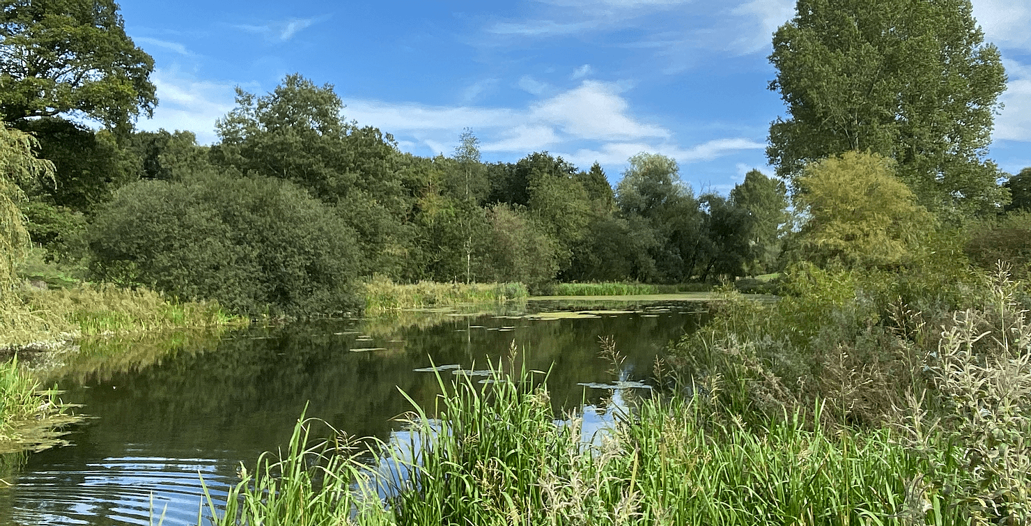 Walk: Londesborough Park