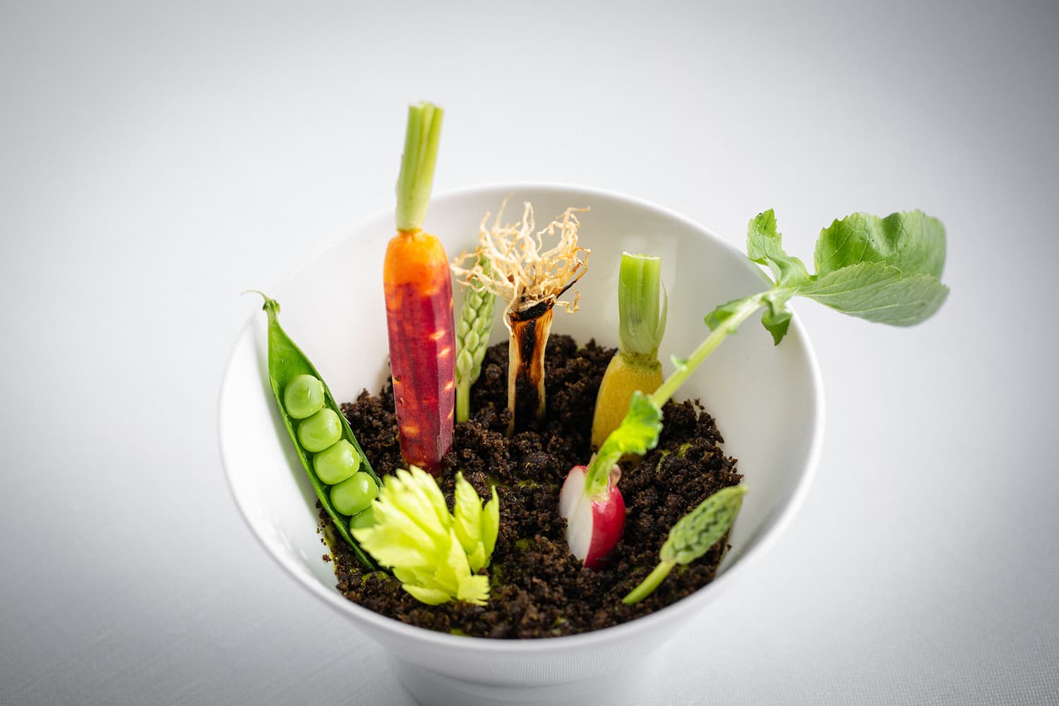 Michelin Star Experience