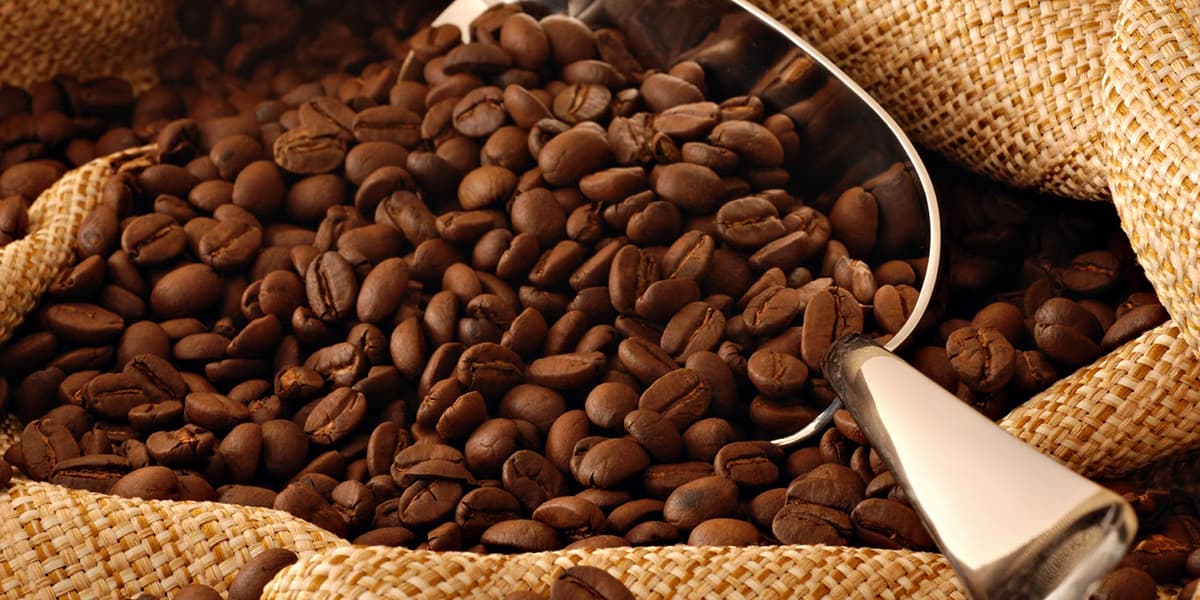 The Best Spots to Sip Coffee - Cafes in Yorkshire