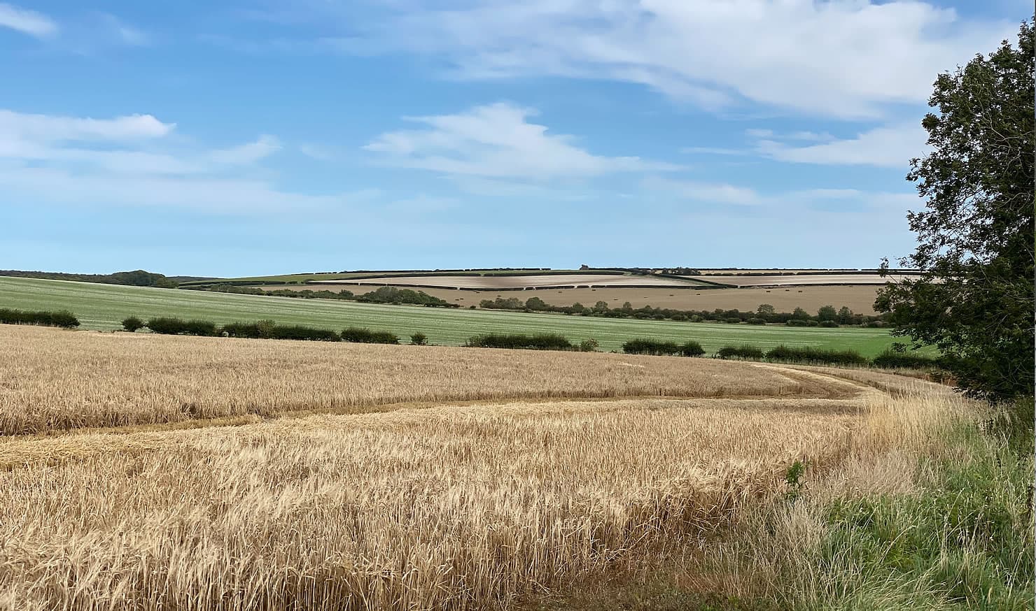Market Weighton to Londesborough – a circular walk in the Yorkshire Wolds
