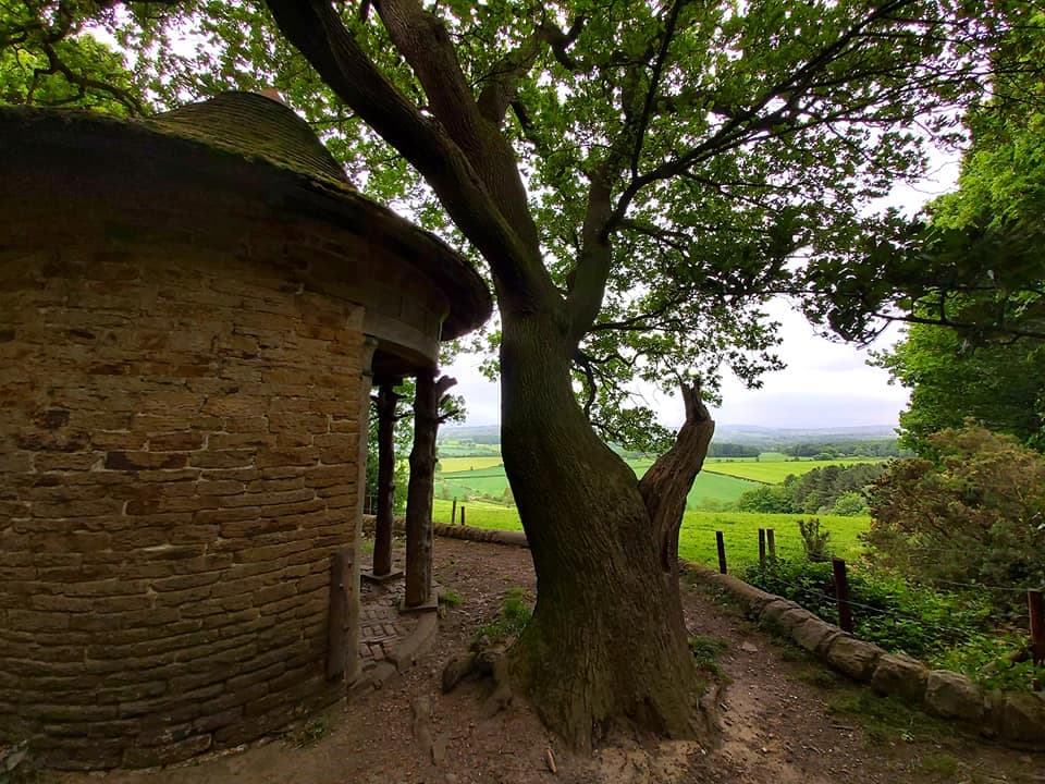 Walk: Deffer Wood, Barnsley