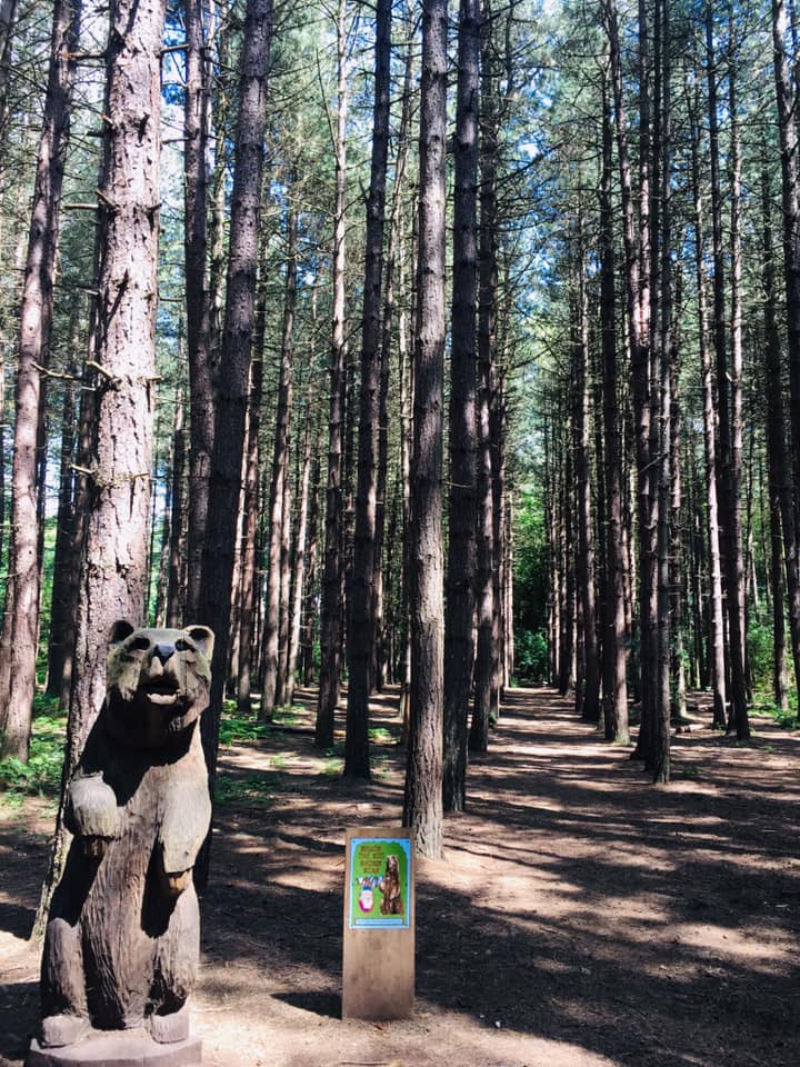 Wakefield's 'The Gnome Roam'