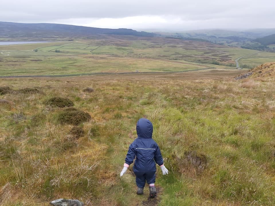 Hare Head from Bolton Abbey