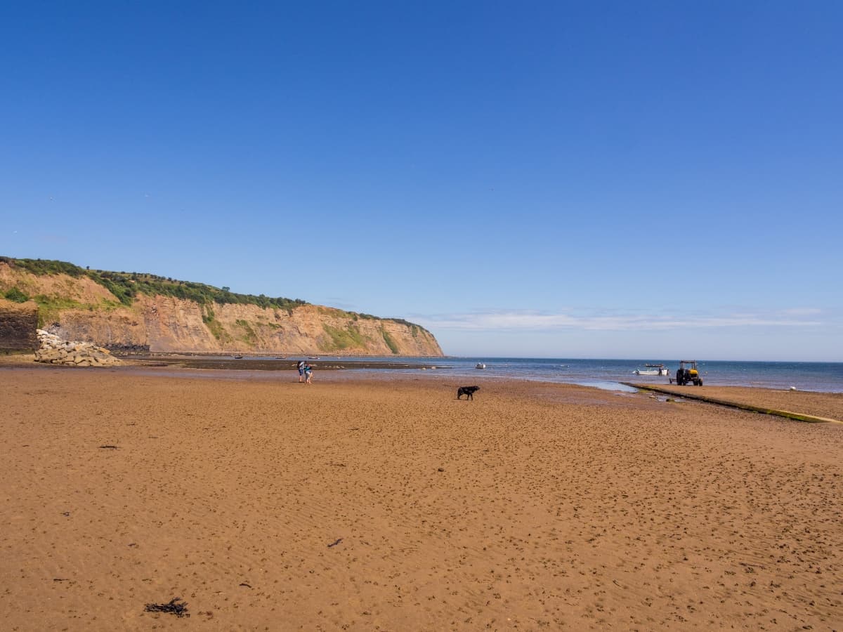 Keeping cool at the coast with your dog