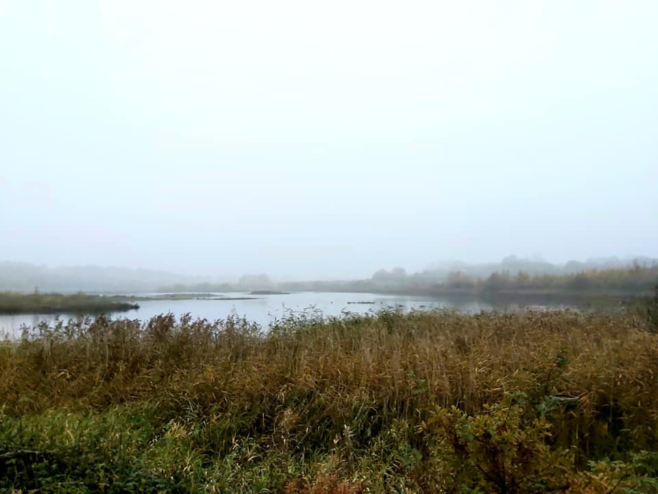 A family walk around RSPB St Aidan's