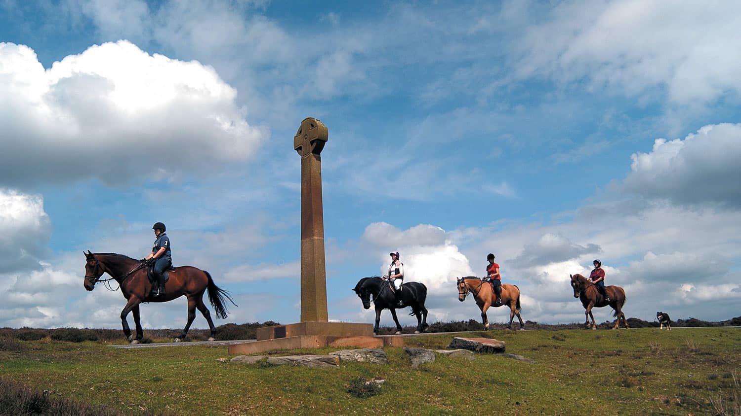 Horse Trails and Loops