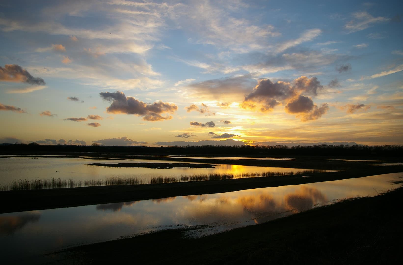 Wildlife Habitats and Reserves