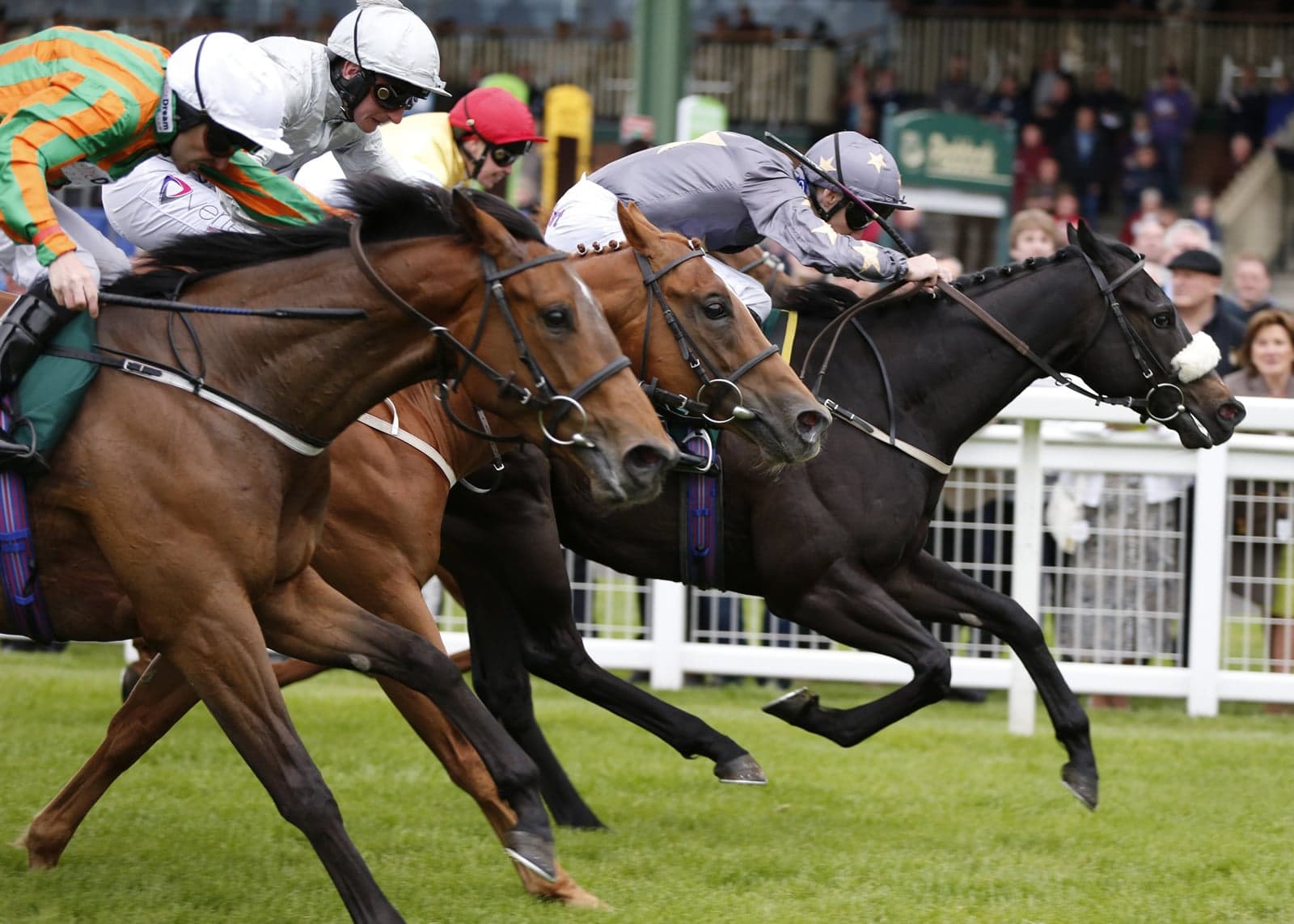 An evening at the races