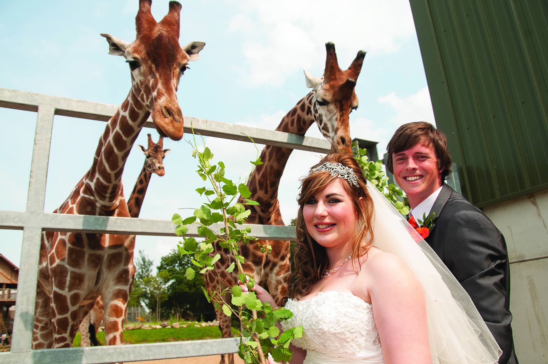 Abbie and David's Incredible Wedding at Yorkshire Wildlife Park