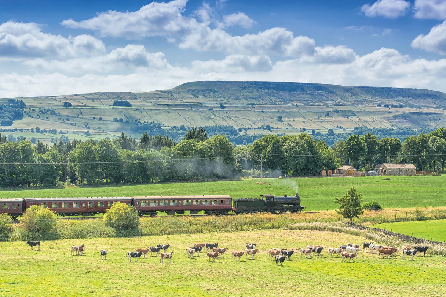 Walk: Wensleydale Challenge - Askrigg to Leyburn